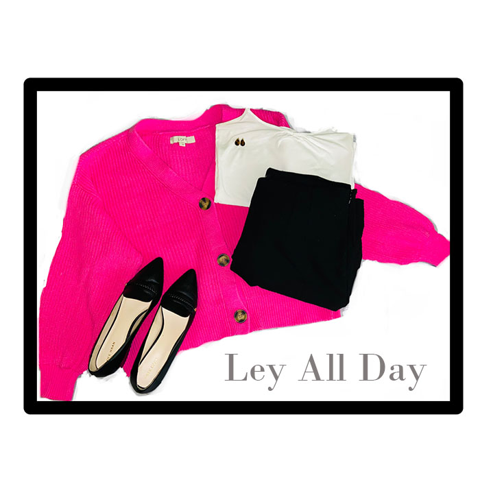 5 Women’s V-Neck Sweaters/Cardigans